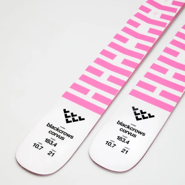 BLACK CROWS CORVUS + TYROLIA ATTACK 11 GW W/O BRAKE A 5 BLACK CROWS CORVUS + TYROLIA ATTACK 11 GW W/O BRAKE A - Afbeelding 5