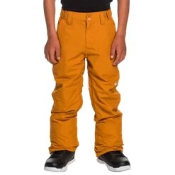 QUIKSILVER ESTATE YTH PT BUCKTHORN BROWN 23