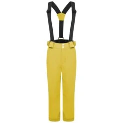 DARE 2B OUTMOVE II PANT ANTIQUE MOSS 23